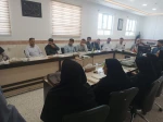 نشست شورای آموزشی دانشگاه ملی مهارت واحد استانی خراسان جنوبی 4